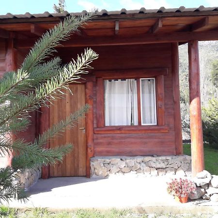 El Jarillal Chalet De Montana A Pasos Del Lago Lago Puelo Εξωτερικό φωτογραφία