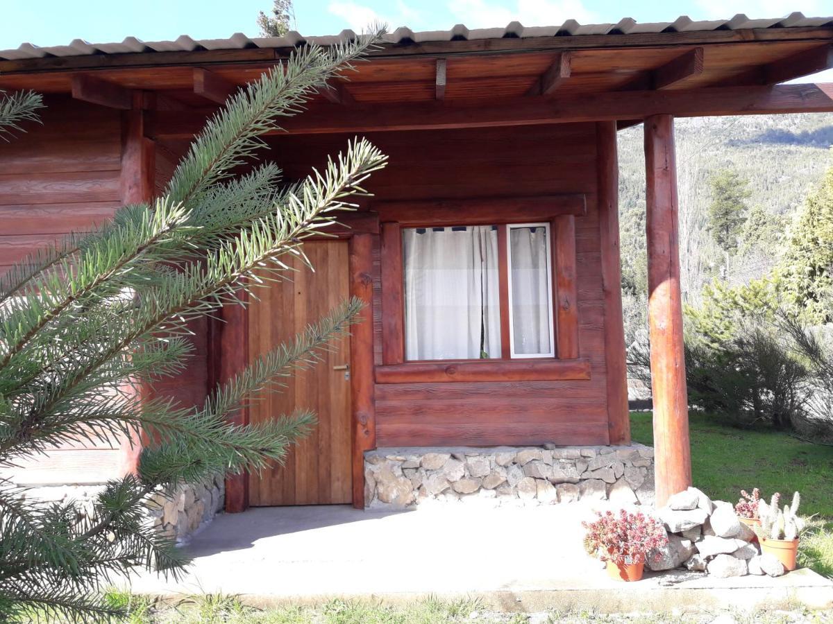 El Jarillal Chalet De Montana A Pasos Del Lago Lago Puelo Εξωτερικό φωτογραφία